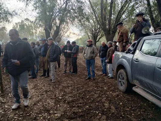 tn_IMG_20250602_162017452_HDR