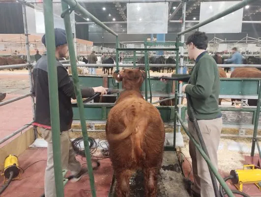 tn_IMG_20250519_113039930