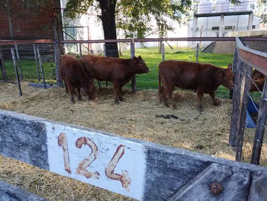 tn_IMG_20240502_160836570