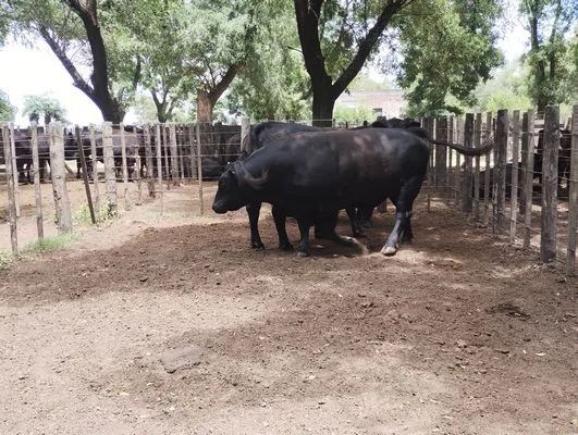 tn_IMG_20241211_124131364