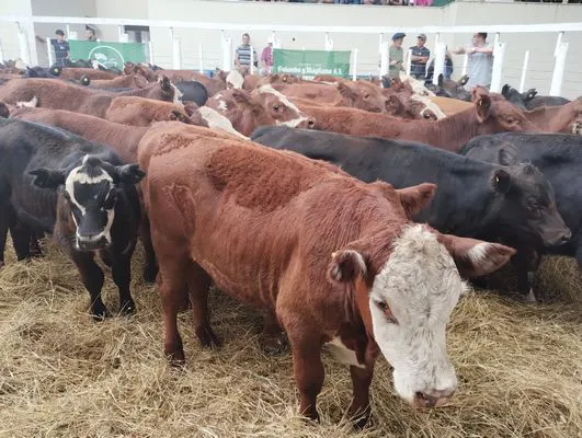 tn_IMG_20250205_154407645