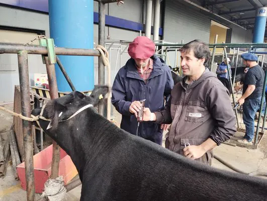 tn_IMG_20250520_105648480