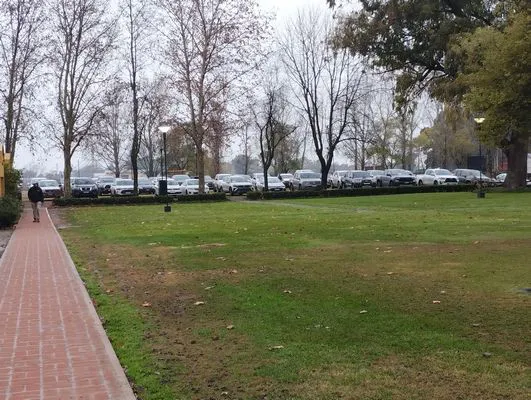 tn_IMG_20250613_132956644