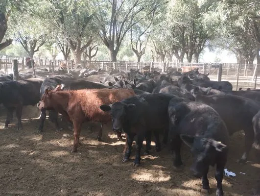 tn_IMG_20250220_161138264