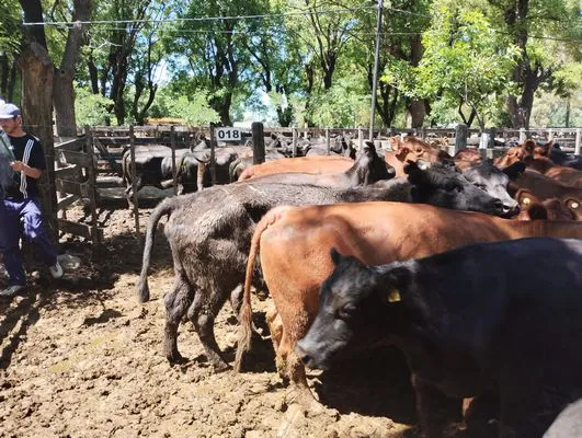 tn_IMG_20241129_141658098_HDR