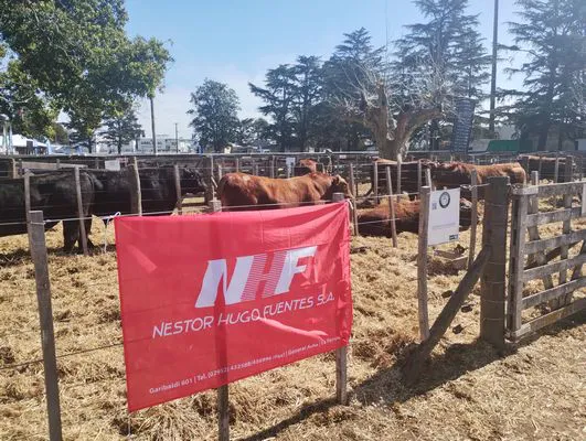 tn_IMG_20240912_111832682