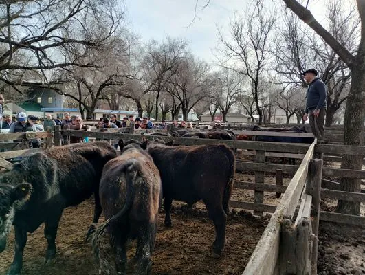 tn_IMG_20240718_153048550_HDR