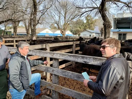 tn_IMG_20240718_150829239_HDR