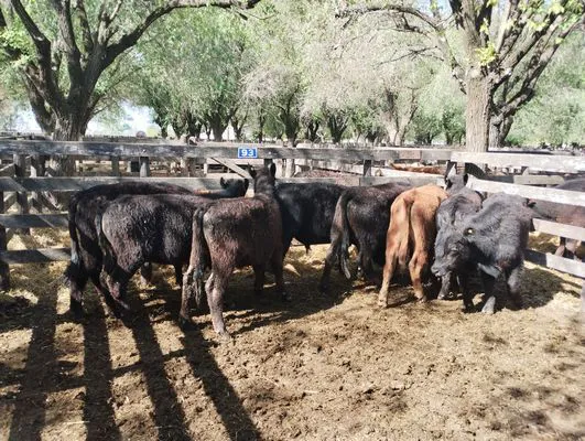 tn_IMG_20241008_153217030