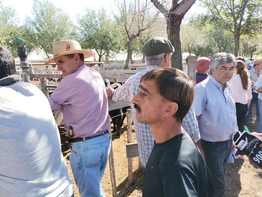 tn_IMG_20240406_142954377