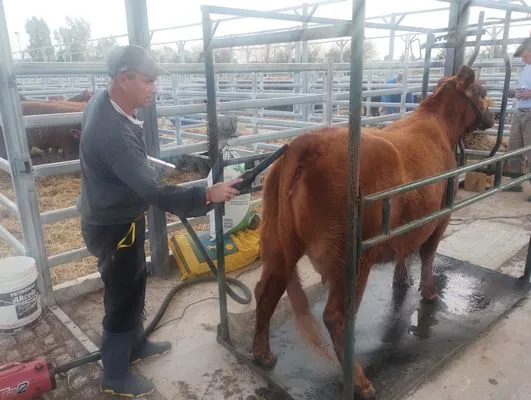 tn_IMG_20250604_163944785