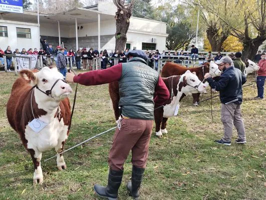 tn_IMG_20240530_142825169