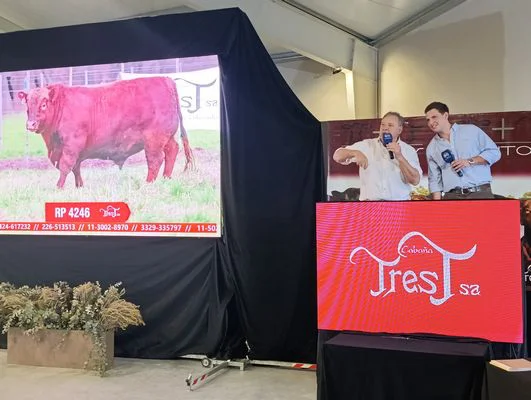J13