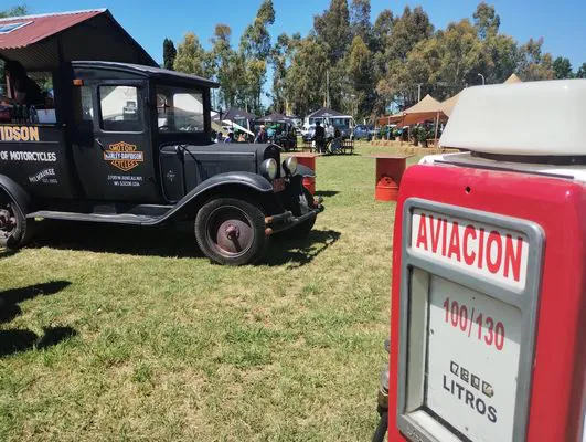 tn_IMG_20241018_120938637