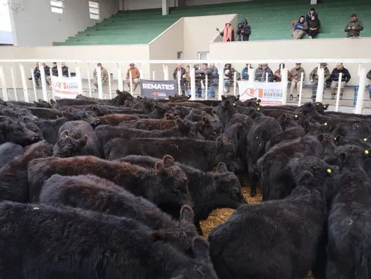 tn_IMG_20240529_142459136_HDR