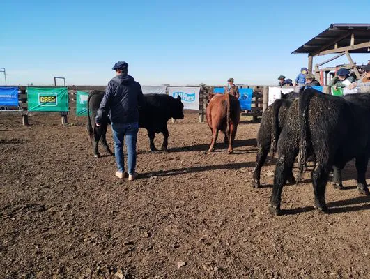 tn_IMG_20240611_1101467261