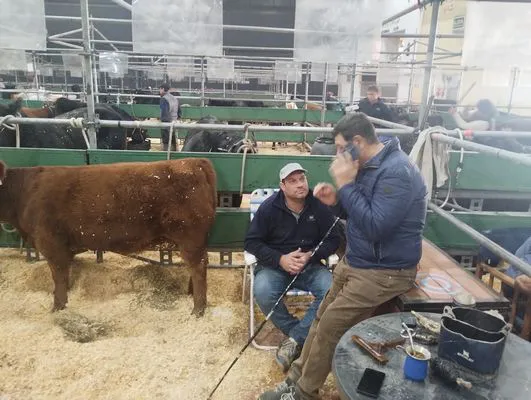 tn_IMG_20250519_111710453