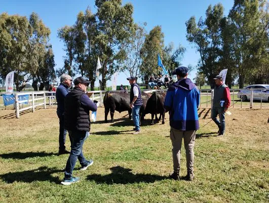 tn_IMG_20241002_110639270_HDR