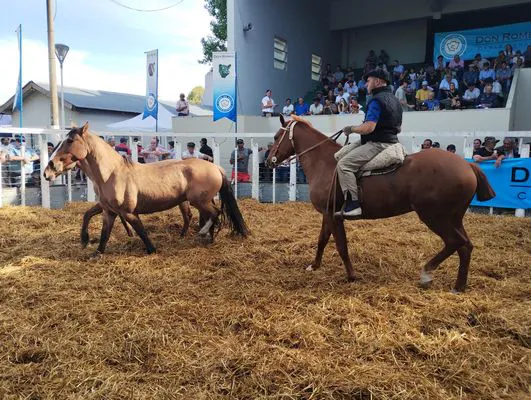 tn_IMG_20241018_164656531