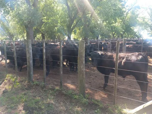 tn_IMG_20231213_094850786