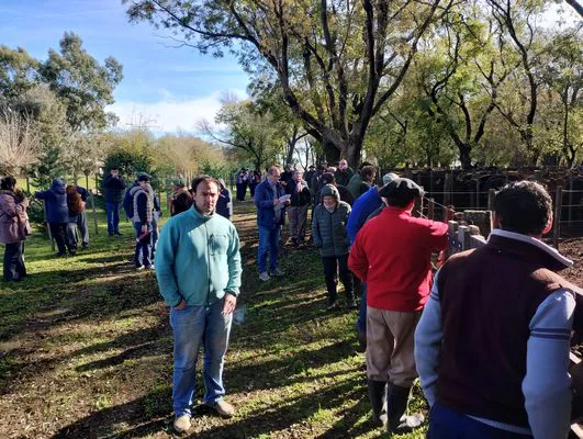 tn_IMG_20250611_121950058_HDR