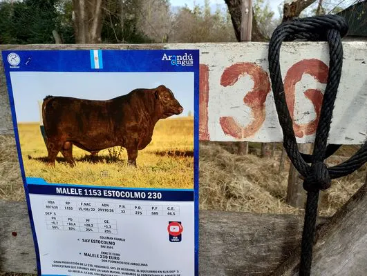 tn_IMG_20240625_120339082_HDR