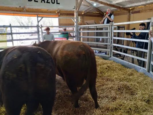 tn_IMG_20240925_121523862_HDR