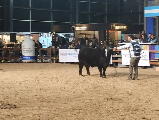 tn_IMG_20250521_175615502