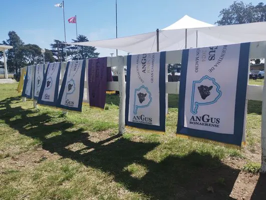 tn_IMG_20240912_115321796