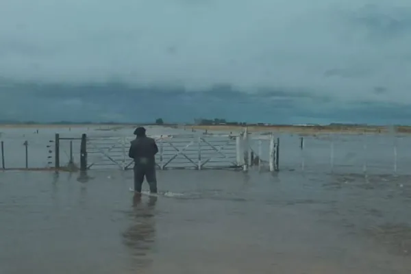 zonacampo_1774809669_3863704602072409006_8723484243