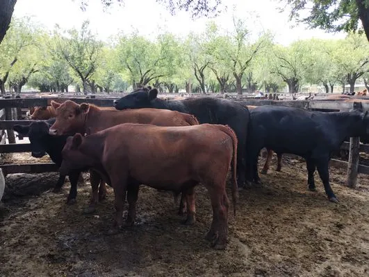 tn_IMG_20240221_120938065