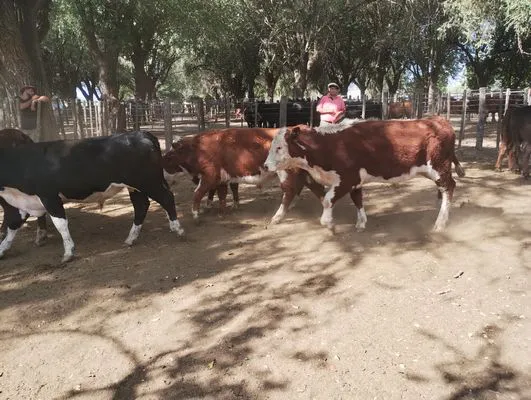 tn_IMG_20250220_160132417