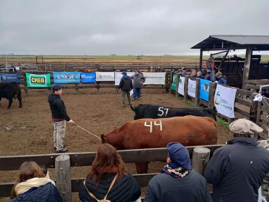 tn_IMG_20240806_120833779_HDR