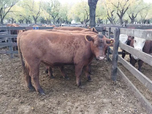 tn_IMG_20240430_143207599