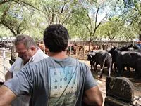 tn_IMG_20240216_155143468_HDR