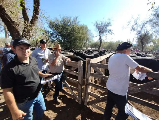 tn_IMG_20240406_151446754_HDR