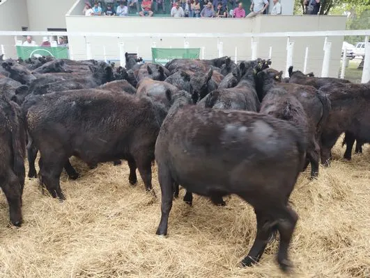 tn_IMG_20250205_161839985