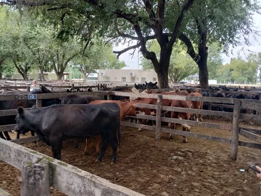 tn_IMG_20250205_144235147_HDR