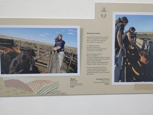 tn_IMG_20241015_185451033