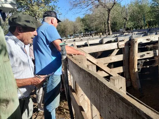 tn_IMG_20240405_165445999_HDR