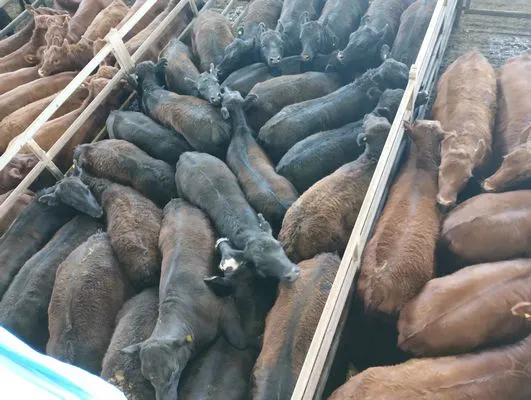 tn_IMG_20240916_100401040