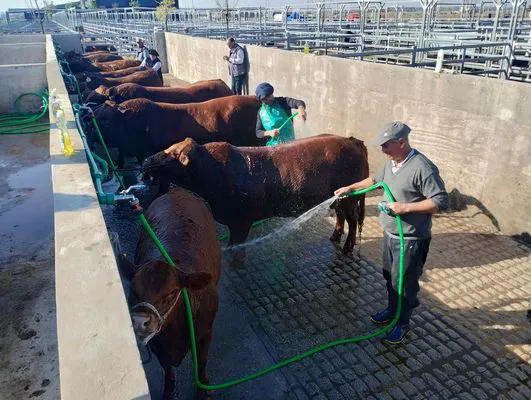 tn_IMG_20250604_141254350_HDR