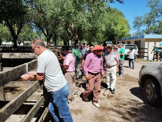 tn_IMG_20240214_150432009_HDR