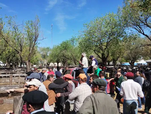 tn_IMG_20241008_150712792