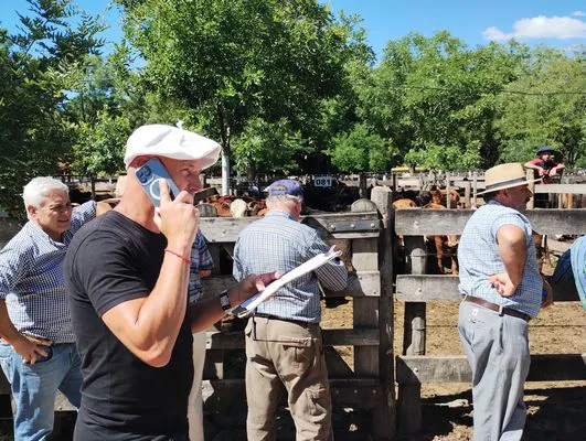 tn_IMG_20241129_152849547