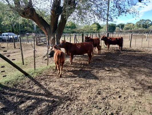 tn_IMG_20240501_105546680_HDR