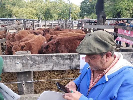 tn_IMG_20250404_152020793