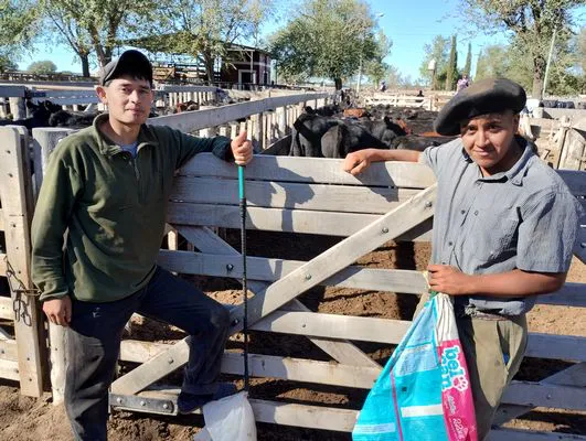 tn_IMG_20240405_104523892_HDR