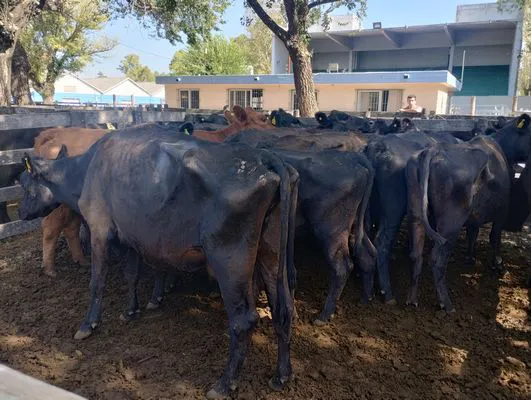 tn_IMG_20250321_151305947_HDR