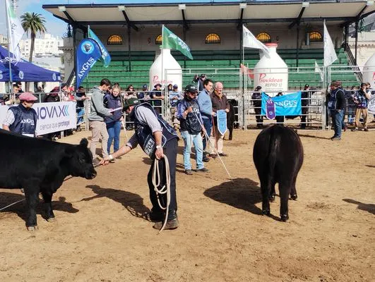 tn_IMG_20250521_123501222